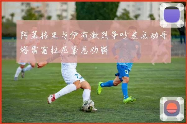 阿莱格里与伊布激烈争吵差点动手塔雷富拉尼紧急劝解
